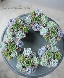 ��¿����ʪ�ۡ�Yourself���󤻿����١�F�����ס�