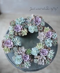 ��¿����ʪ�ۡ�Yourself���󤻿����١�E�����ס�