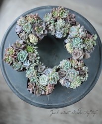 ��¿����ʪ�ۡ�Yourself���󤻿����١�C�����סۥ��������ꡪ