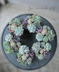 ��¿����ʪ�ۡ�Yourself�� �󤻿����١�D�����סۥ���ӥ������ꡪ