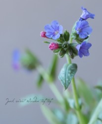 ץʥꥢإȥӥեƥ١إȥӥեƥ