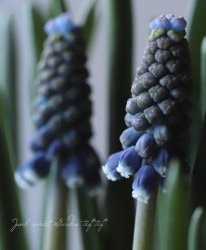 ���ڵ庬��ʪ�ۡ��ॹ���ꡡ�إʥ��ȥ�������