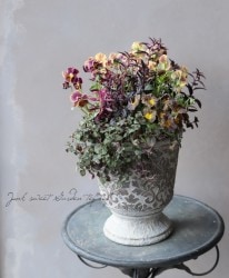 -TEFNIQUE-�󤻿��� 2019 * no.25 *�����꡼�ߡ��롼����δ󤻿�����