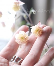 ���ء�Ȭ�����륪���ޥ����إ١�����ԥ󥯡� ��A��