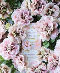 ڲ¤󥪥ꥸʥ ڥ˥ۥåץޥإ⥫֥