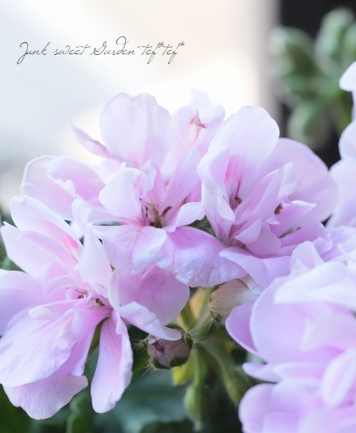 ベラドンナ K18イエローゴールド ラブラドライト ペンダントトップ | 高品質