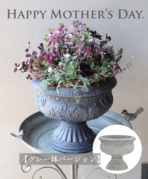 先行割引10%off！随時お届け】 母の日の寄せ植え 『グレーの鉢