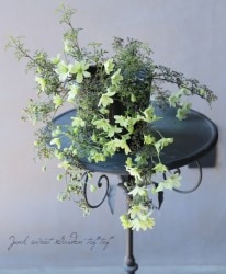 �ե����ƥ꡼�ϥ���ޥ��� �إڥȥꥨ����