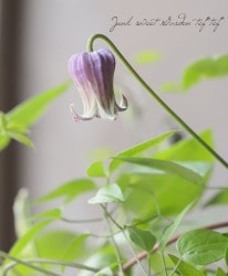 ����ޥ������إƥ����󥷥��١�