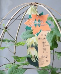 ����ޥ������إ���С��١��������