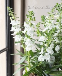 إ󥲥˥󥸥եإۥ磻ȡ