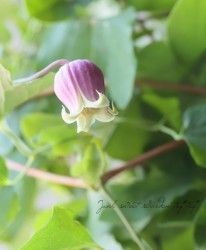 �䷿����ޥ�������������ʷϡ��إԥ󥯡١�D��