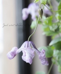 ����ޥ��������ʼ������١�