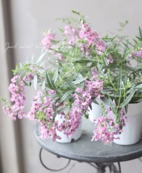 롪󥲥˥󥸥ߥȡץǥ إ٥꡼ѡ顼