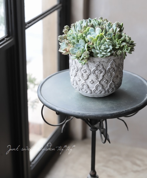 TEFNIQUE-多肉植物の寄せ植え 2019 * no.35 * 『夏の朝に映える