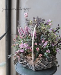 -TEFNIQUE-�󤻿��� 2019 * no.39 *������ͥԥ󥯤�chic�Х����åȡ�
