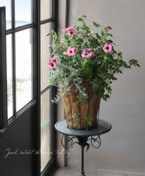 -TEFNIQUE-󤻿 2019 * no.41 *إ͡ƥ磻䡼Хåȡ