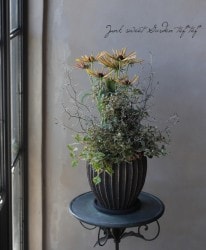 -TEFNIQUE-󤻿 2019 * no.44 *ؽ򥢡ȥƥåˡ