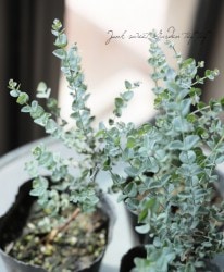 �桼���ꡡ�إࡼ��饰�����