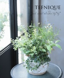 -TEFNIQUE-󤻿 2019 * no.49 *إƥɡ