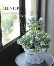 -TEFNIQUE-󤻿 2019 * no.50 *عƤ֥֥롼ӡ˲񤨤뤫ʡ