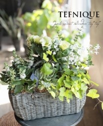 -TEFNIQUE-󤻿 2019 * no.53 *ؽ֤ΥХå