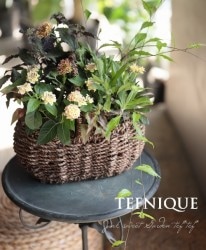 -TEFNIQUE-󤻿 2019 * no.55 *ؽʥХåȢ