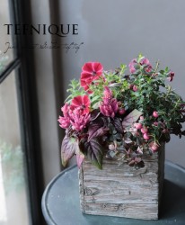 -TEFNIQUE-󤻿 2019 * no.59 *ؽޥååɡ