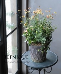 -TEFNIQUE-󤻿 2019 * no.60 *ؽɤ륳쥪ץ