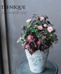 -TEFNIQUE-󤻿 2019 * no.61 *ͥԥ󥯤