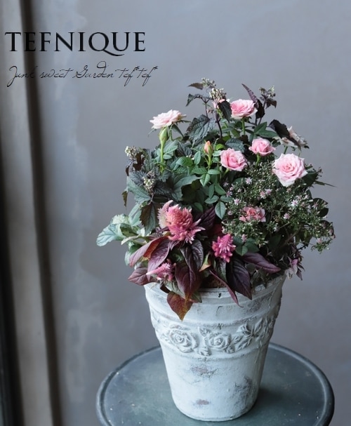 TEFNIQUE-寄せ植え 2019 * no.61 * 『大人ピンクが可憐♪』 | 寄せ植え