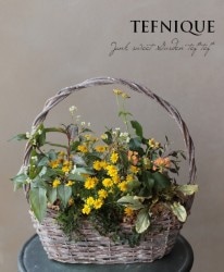 -TEFNIQUE-󤻿 2019 * no.63 *֤Τ褦ʸХåȢ