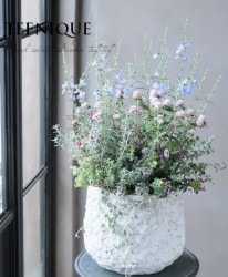 -TEFNIQUE-󤻿 2019 * no.66 *إݥݥѥƥ