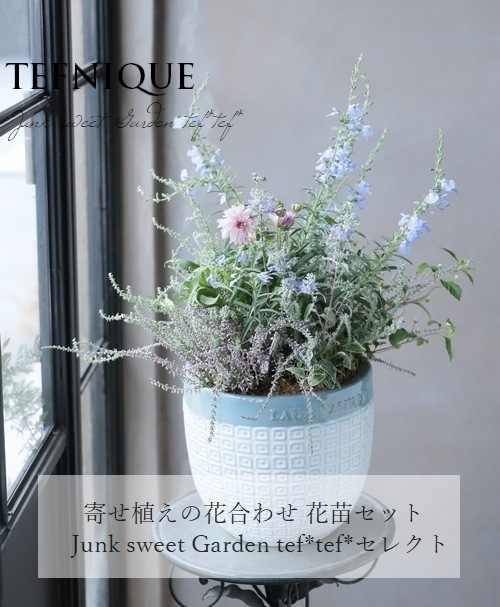 花苗 TEFNIQUE-寄せ植えの花合わせ10苗セット 『パステルエレガント』培養土