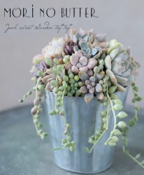 -TEFNIQUE-¿ʪδ󤻿 2019 * no.71 *Ͳİ¿ΥåץC