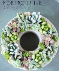 ¿ʪδ󤻿 2019 * no.72 *إѥƥ륫顼꡼A