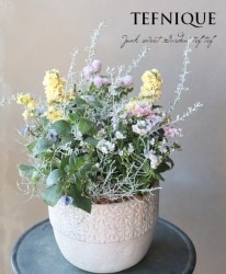 -TEFNIQUE-󤻿 2019 * no.79 *إѥƥ񤦢