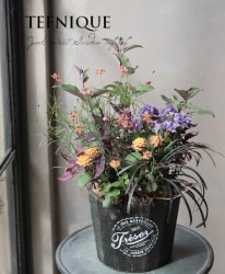 -TEFNIQUE-󤻿 2019 * no.81 *إϥ󡦥ơ