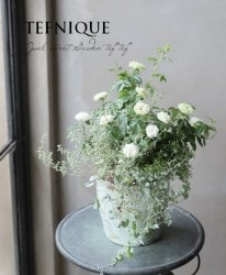 -TEFNIQUE-󤻿 2019 * no.84 *إץ륨쥬Ȣ