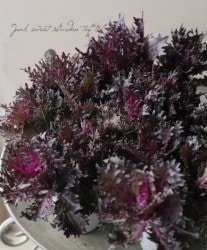 ���ղ�ð���ظ��ҥ֥�å������� No.B