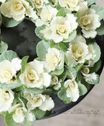 ղðå󥷥꡼إե쥢ۥ磻ȡ