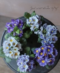 ץ顦ꥢ ϥ֥åȡإ֥١֥롼