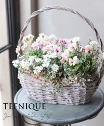 -TEFNIQUE-󤻿 2020 * no.6 *إ⡼ԥ󥯥ХåȢ