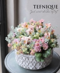 -TEFNIQUE-󤻿 2020 * no.7 *ؤ֤Υǥ졼󥱡