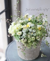 -TEFNIQUE-󤻿 2020 * no.8 *Ԥ󤷤դī