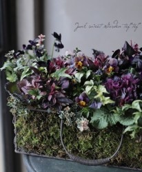 -TEFNIQUE-󤻿 2020 * no.10 *ؿΥ磻ХåȢ