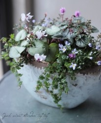 -TEFNIQUE-󤻿 2020 * no.11 *ؾΥƥ