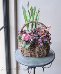 -TEFNIQUE-󤻿 2020 * no.12 *Ͳİԥ󥯥ХåȢ