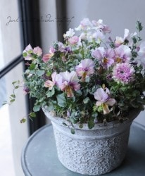 -TEFNIQUE-󤻿 2020 * no.15 *ؤͲİã