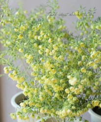 ܥ˥ᥬƥޡإ롼ƥ١إƥ